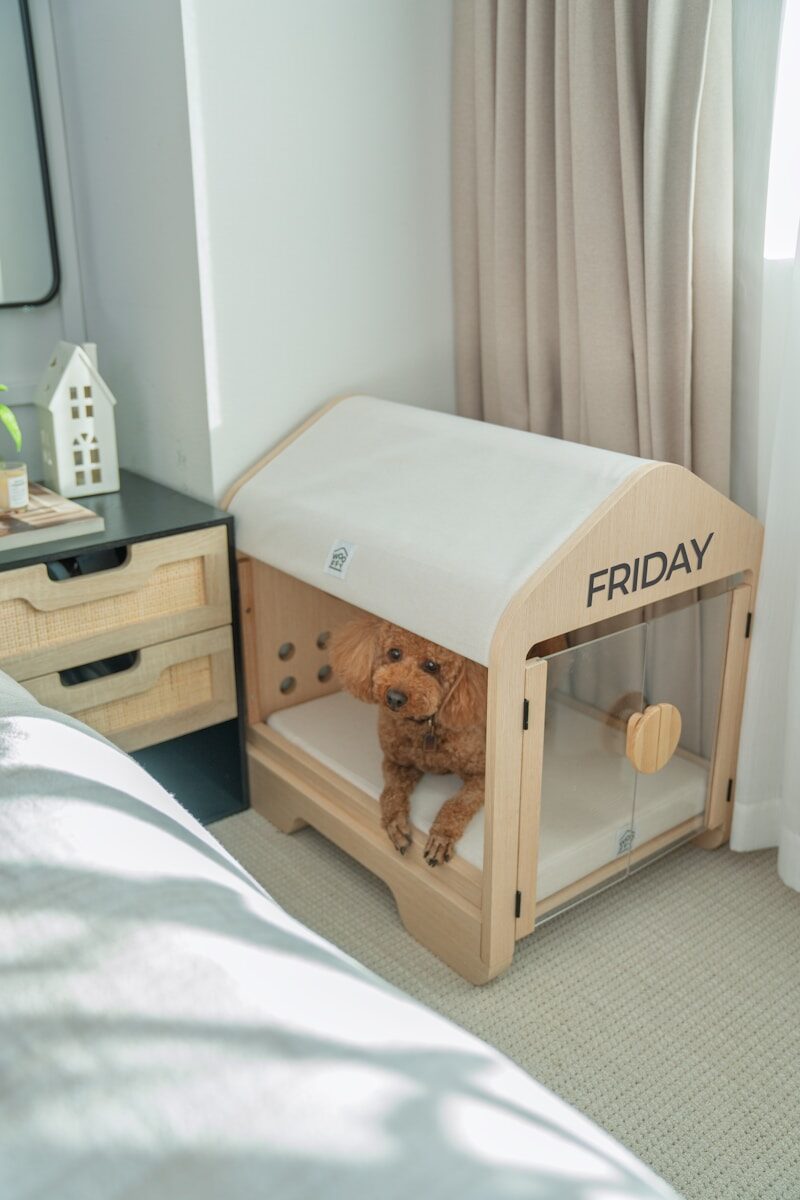 A dog rests inside a modern wooden dog house.